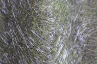 Scredington fibreglass roof work